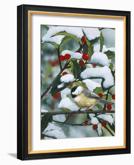 Chickadees and Holly Branch-William Vanderdasson-Framed Giclee Print