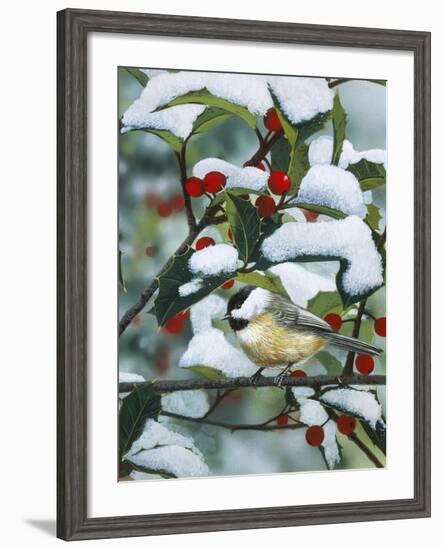 Chickadees and Holly Branch-William Vanderdasson-Framed Giclee Print