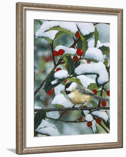 Chickadees and Holly Branch-William Vanderdasson-Framed Giclee Print