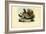 Chicken, 1863-79-Raimundo Petraroja-Framed Giclee Print