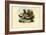 Chicken, 1863-79-Raimundo Petraroja-Framed Giclee Print