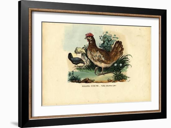 Chicken, 1863-79-Raimundo Petraroja-Framed Giclee Print