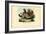 Chicken, 1863-79-Raimundo Petraroja-Framed Giclee Print