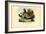 Chicken, 1863-79-Raimundo Petraroja-Framed Giclee Print