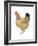 Chicken, 2012-Ele Grafton-Framed Giclee Print