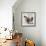 Chicken 2-Renee Gould-Framed Giclee Print displayed on a wall