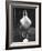 Chicken and Egg-Nina Leen-Framed Photographic Print