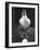 Chicken and Egg-Nina Leen-Framed Photographic Print