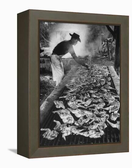 Chicken and Pork Cooking on the Grill During Flordia Swamp Barbeque-null-Framed Premier Image Canvas