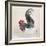 Chicken and Rooster-Ohara Koson-Framed Giclee Print