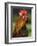 Chicken Cockerel Crowing-null-Framed Photographic Print