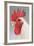 Chicken Cockerel White Hybrid in Studio-null-Framed Photographic Print