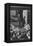 Chicken Farm, Mori Nakashima-Ansel Adams-Framed Stretched Canvas