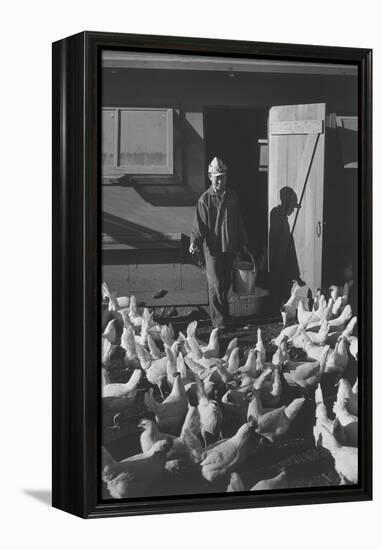 Chicken Farm, Mori Nakashima-Ansel Adams-Framed Stretched Canvas