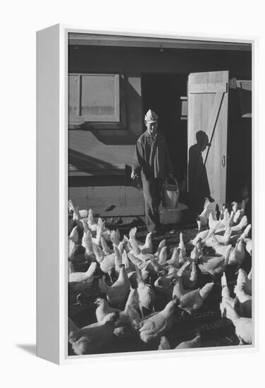 Chicken Farm, Mori Nakashima-Ansel Adams-Framed Stretched Canvas