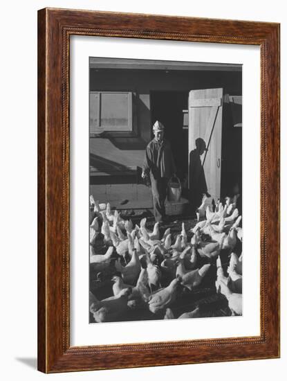 Chicken Farm, Mori Nakashima-Ansel Adams-Framed Art Print