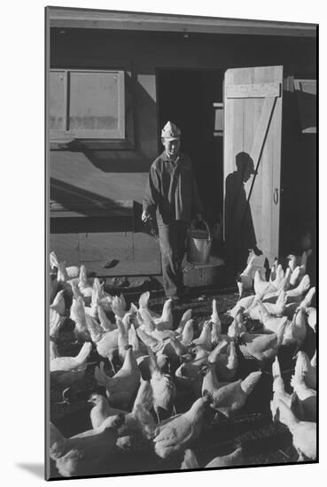 Chicken Farm, Mori Nakashima-Ansel Adams-Mounted Art Print