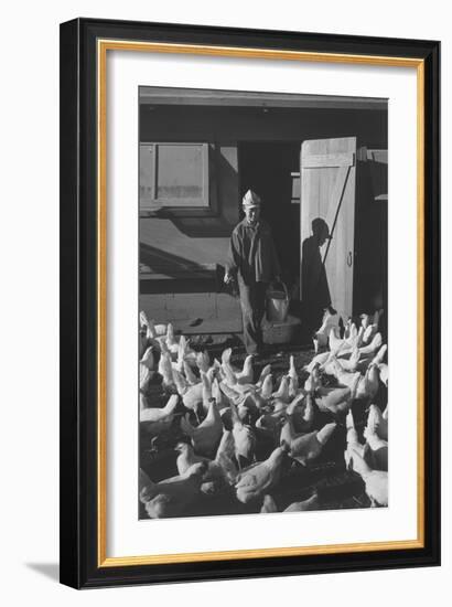 Chicken Farm, Mori Nakashima-Ansel Adams-Framed Art Print