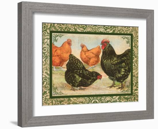 Chicken II-null-Framed Art Print