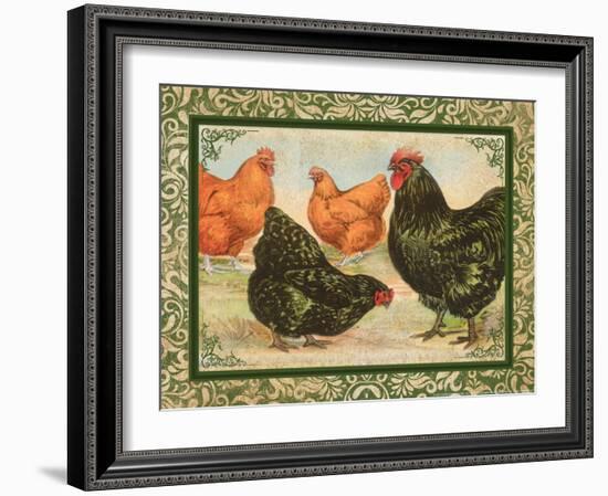 Chicken II-null-Framed Art Print