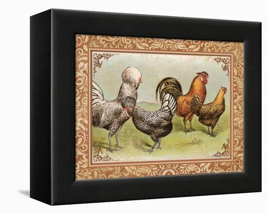 Chicken III-null-Framed Stretched Canvas