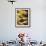 Chicken Legs Displayed in Market, Cuzco, Peru-Merrill Images-Framed Photographic Print displayed on a wall