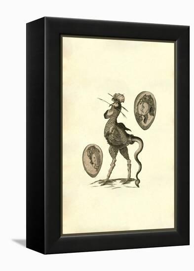 Chicken Man-Ulisse Aldrovandi-Framed Stretched Canvas