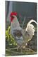 Premium Photographic Print