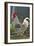 Chicken Rooster-null-Framed Photographic Print