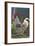 Chicken Rooster-null-Framed Photographic Print