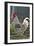 Chicken Rooster-null-Framed Photographic Print