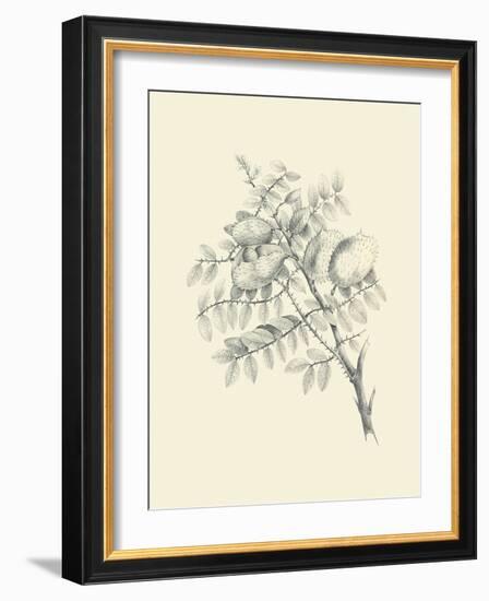 Chicken Stone Tree-Maria Mendez-Framed Art Print
