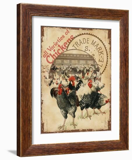 Chicken Varieties-null-Framed Giclee Print