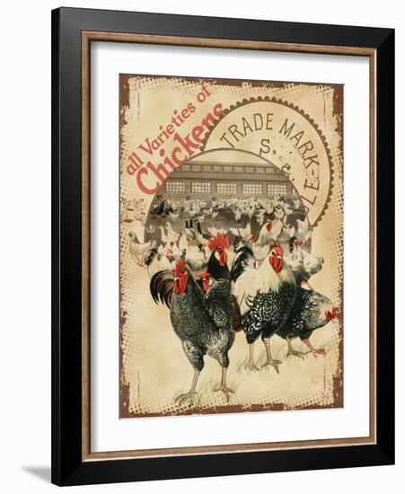 Chicken Varieties-null-Framed Giclee Print