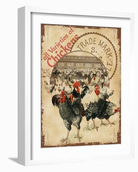 Chicken Varieties-null-Framed Giclee Print