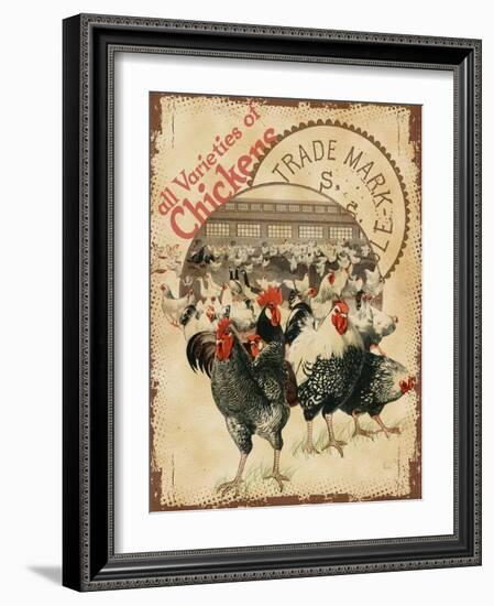 Chicken Varieties-null-Framed Giclee Print