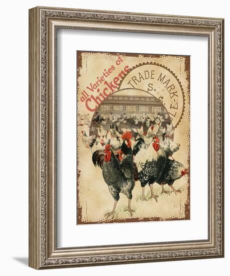 Chicken Varieties-null-Framed Giclee Print