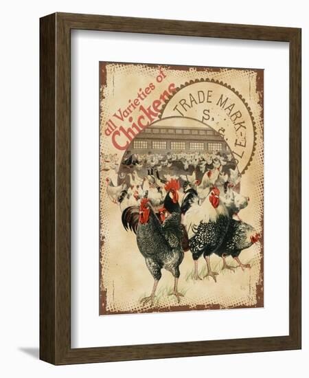 Chicken Varieties-null-Framed Giclee Print