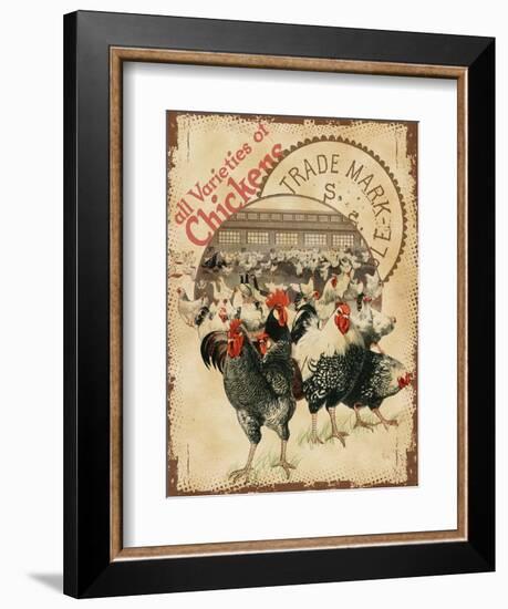 Chicken Varieties-null-Framed Giclee Print