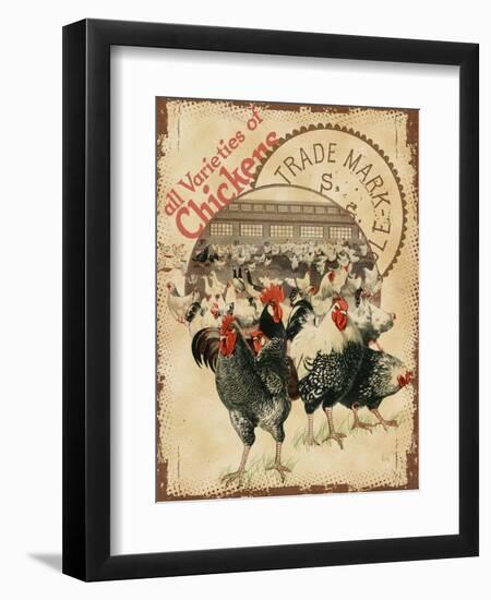 Chicken Varieties-null-Framed Giclee Print