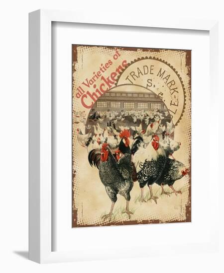 Chicken Varieties-null-Framed Giclee Print