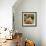 Chicken with Chicks Sheltering under Plumage in Farmyard-null-Framed Photographic Print displayed on a wall