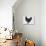 Chicken-null-Giclee Print displayed on a wall