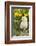 Chicken-Lynn M^ Stone-Framed Photographic Print