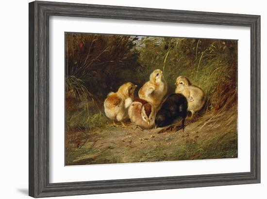 Chickens, 1878-Arthur Fitzwilliam Tait-Framed Giclee Print