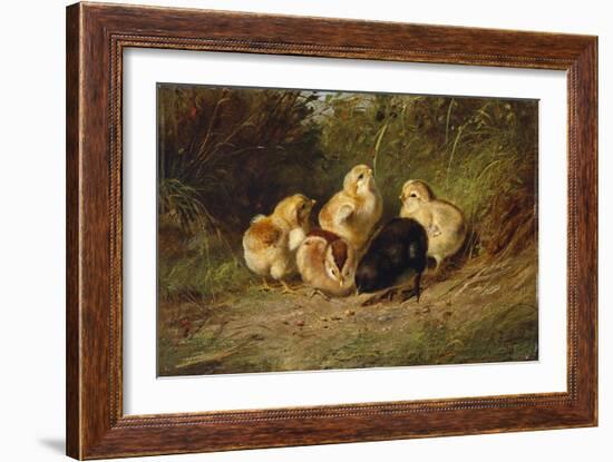 Chickens, 1878-Arthur Fitzwilliam Tait-Framed Giclee Print