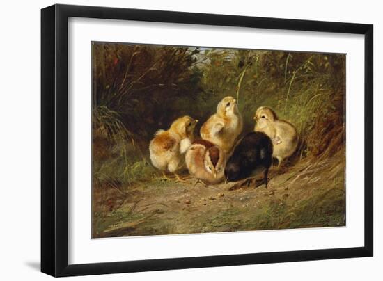 Chickens, 1878-Arthur Fitzwilliam Tait-Framed Giclee Print