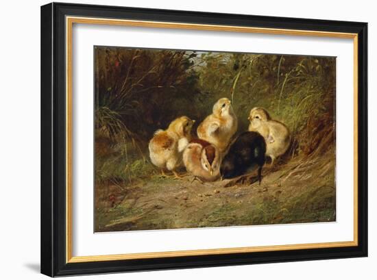 Chickens, 1878-Arthur Fitzwilliam Tait-Framed Giclee Print