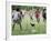 Chickens Run to Avoid a Soccer Game Played by Children from Lolovoli Village on the Island of Ambae-null-Framed Photographic Print