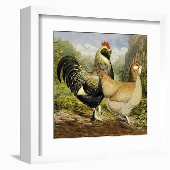 Chickens: Salmon Faverolles-Lewis Wright-Framed Art Print